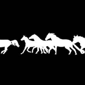 Car Stickers Exterior Horse Racing Decal for Car Door Racing Sticker Color Black