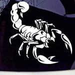 car Stickers Exterior The Scorpion King Car Windows, Bumper. Hood, Side car Stickers&Decals(White)