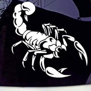 car Stickers Exterior The Scorpion King Car Windows, Bumper. Hood, Side car Stickers&Decals(White)