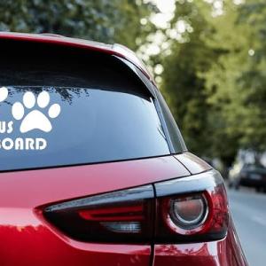 Paws On Board, Dog, Puppy, Foot Car Sticker Car 10.00cm X 7.00cm (White)