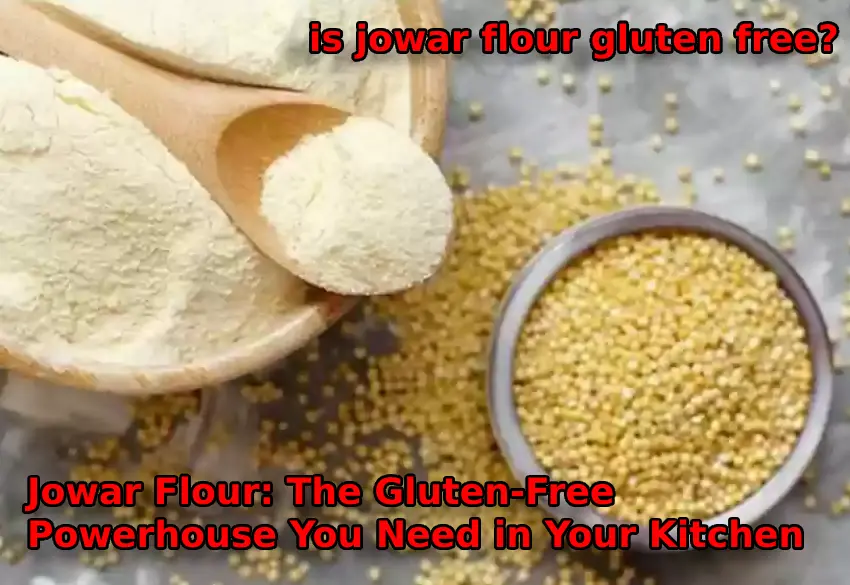 Jowar Flour: The Gluten-Free Powerhouse You Need in Your Kitchen