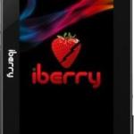 Screen Protector for iberry BT07i - Ultra-Clear, Scratch-Resistant, Anti-Glare | Easy Installation